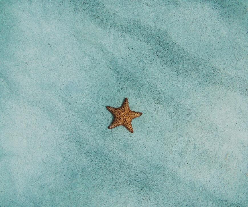 Photo by Amy Humphries on Unsplash