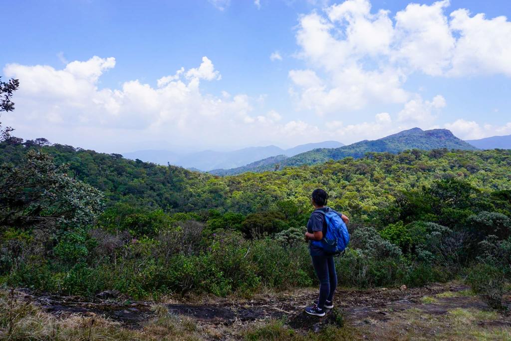 staring out from a mountain top