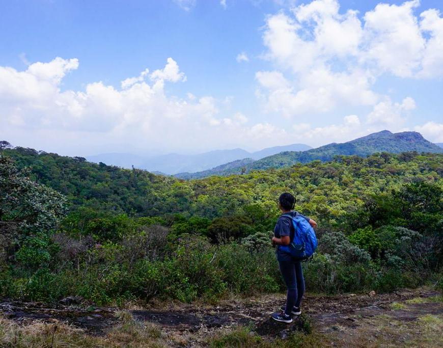 staring out from a mountain top