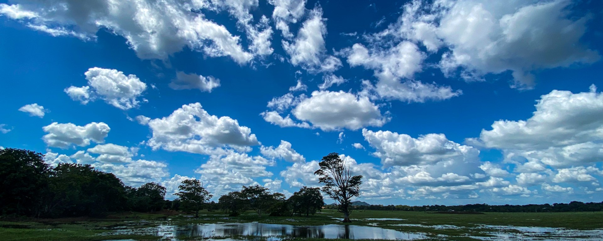 Overlooking Tissa Lake, Tissamaharama