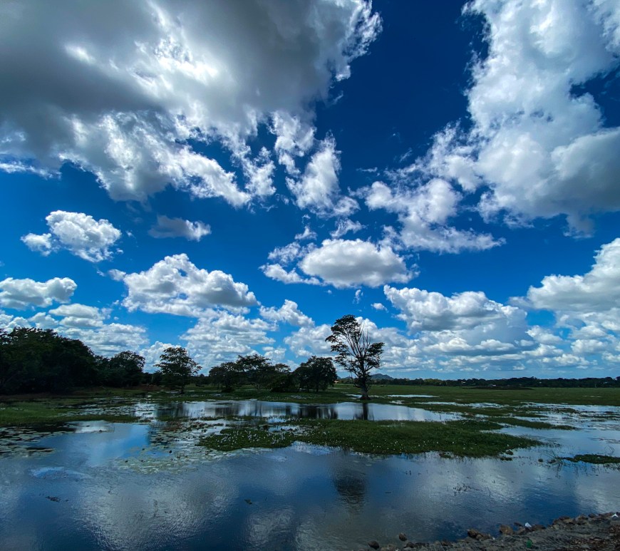 Overlooking Tissa Lake, Tissamaharama